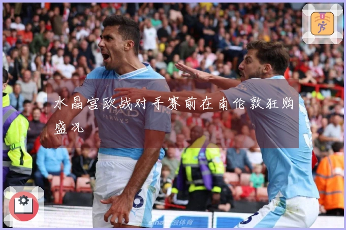水晶宫欧战对手赛前在南伦敦狂购盛况