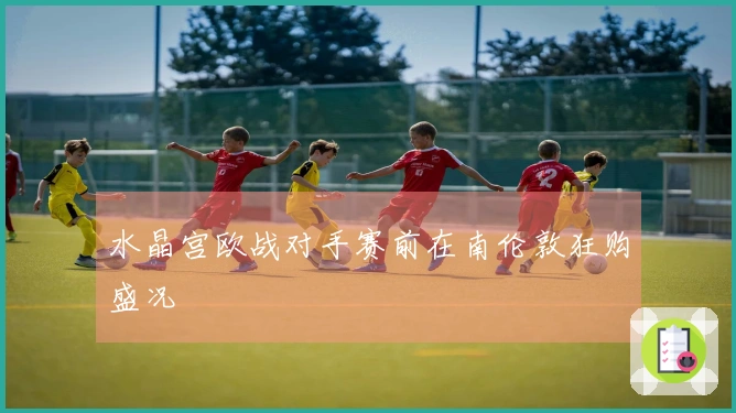 水晶宫欧战对手赛前在南伦敦狂购盛况